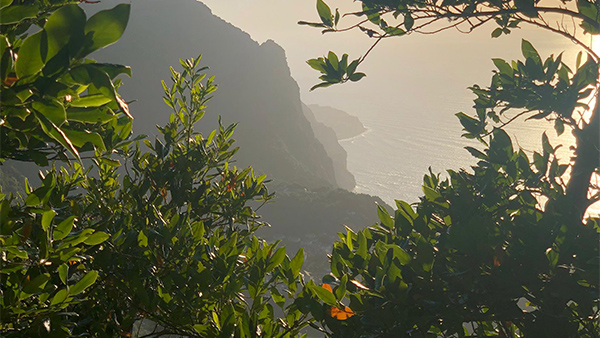 Madeira Vorschaubild 2