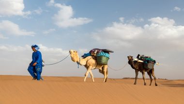 Marokko Trekking 22 9