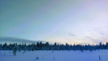 Lappland mit Pink Alpine - gay Männer Reisen